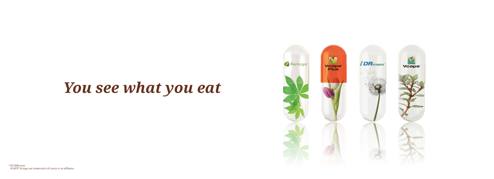 CATALO Transparent capsule - You see what you eat 