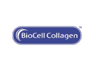 BioCell Collagen® Hydrolyzed Collagen Type II, Chondroitin Sulfate & Hyaluronic Acid